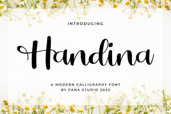 Handina: Adding Luxury and Personality to Web Design with a Sweet Script Typeface