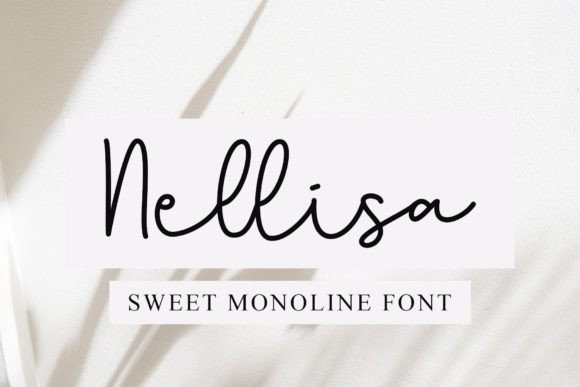 How Nellisa Brought Sweetness to a Branding Project